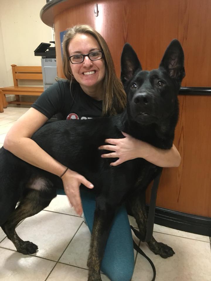 Amanda Jeffries DVM Raleighwood Veterinary Hospital
